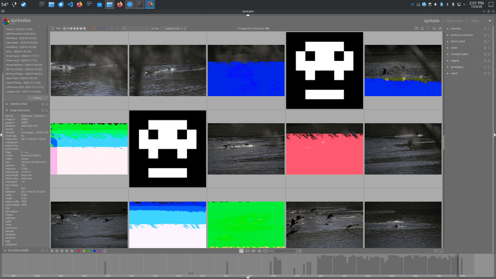 A screenshot from Darktable. There is a grid of photos, however in several cases the images have been corrupted so only present as one or two colours. In two case the photos are actually skulls, indicating the file couldn't be read at all