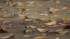 On Exclusion and Going Out