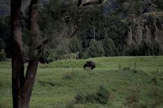 Some photos from 2022